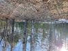 1 Parkway Dr photo